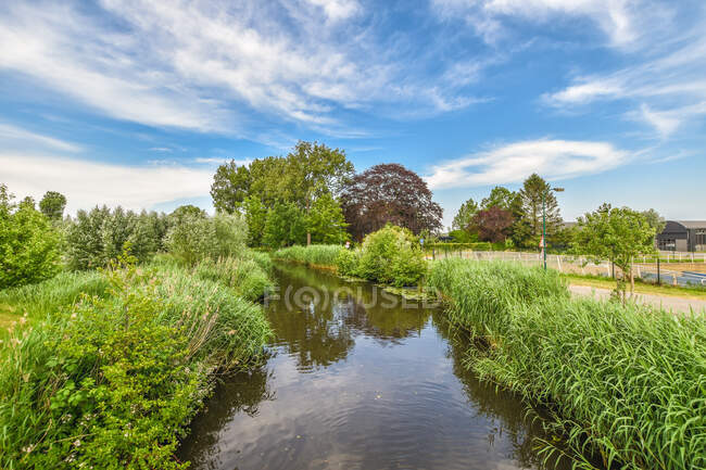 Pintoresco paisaje de río tranquilo que fluye entre arbustos verdes y árboles bajo el cielo azul nublado en la naturaleza durante el día - foto de stock