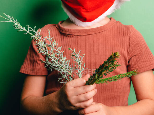 Cropped unrecognizable boy in red Santa hat and mask for protecting from COVID with fir branches — Stock Photo