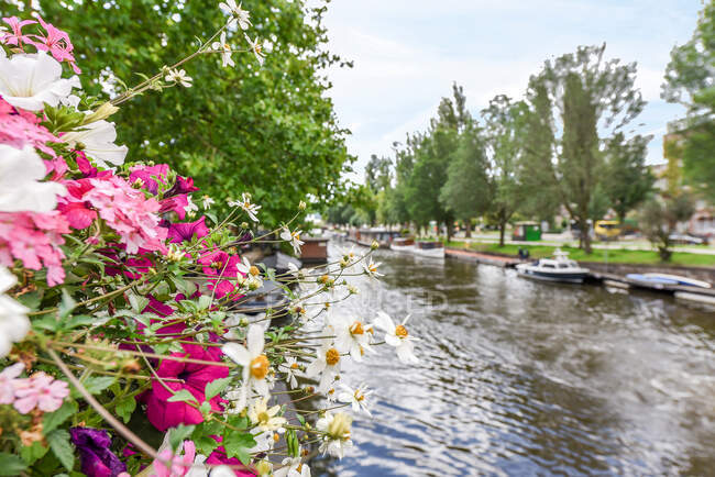 Blossoming flowers and green trees growing on shore of canal with boats on rippling water — Stock Photo
