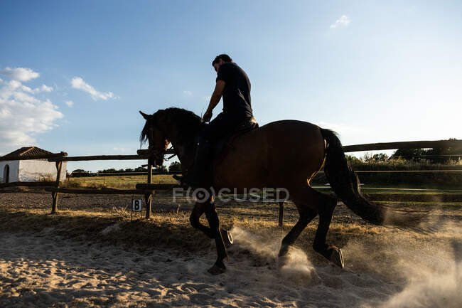 Side view of adult male riding stallion on sandy land with dust under shiny sky in back lit — Stock Photo