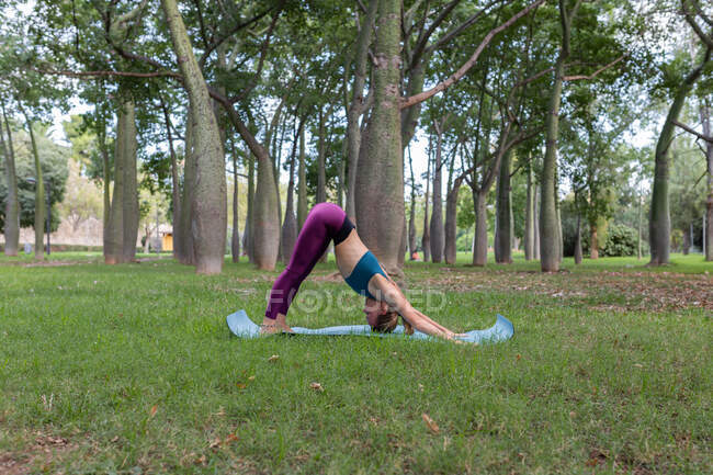 Vista lateral de mujer flexible en ropa deportiva realizando pose Adho Mukha Shvanasana mientras practica yoga en parque verde durante el día - foto de stock