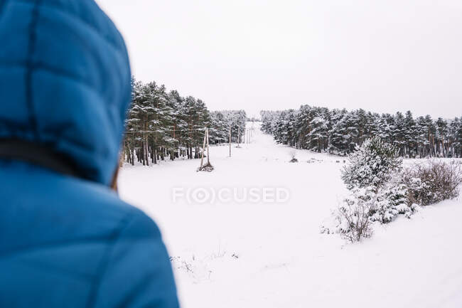 Back view of crop unrecognizable female in outerwear standing in snowy valley with electricity poles in dense coniferous forest — Stock Photo