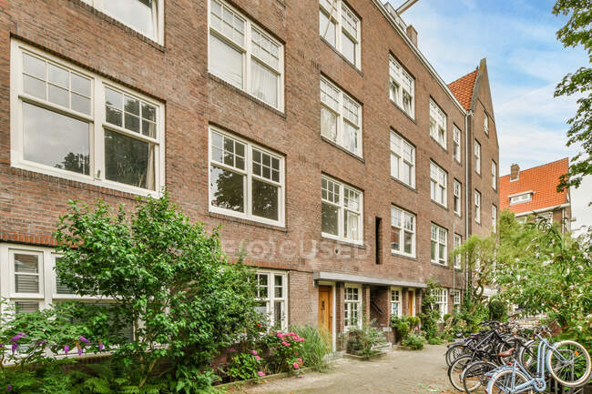 Bicycles parked near green trees and brick buildings in residential district in daytime — Stock Photo
