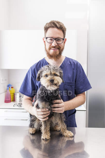 Veterinário masculino positivo acariciando fofo Yorkshire Terrier na clínica veterinária — Fotografia de Stock