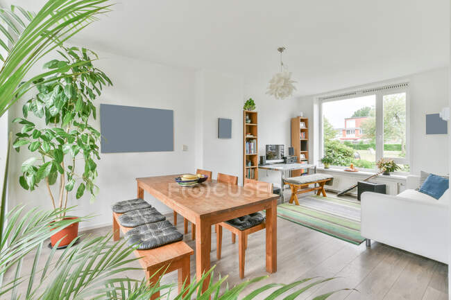 Стильний інтер'єр просторої вітальні з обідньою зоною, прикрашеною зеленими горщиками в сучасній квартирі в денному світлі — стокове фото
