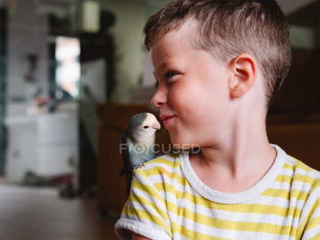 Crop positive boy with small gray feathered bird sitting on shoulder and kissing mouth — Stock Photo