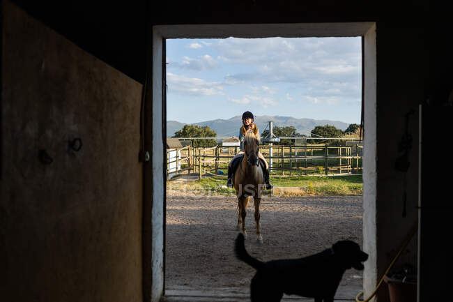 Mulher sorridente no capacete protetor sentado no cavalo contra a silhueta do cão na barraca na escola de equitação rural — Fotografia de Stock