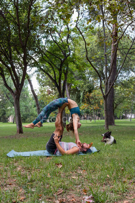 Vista lateral de pareja concentrada en ropa deportiva practicando acroyoga sobre hierba verde cerca de perro obediente en parque durante el día - foto de stock