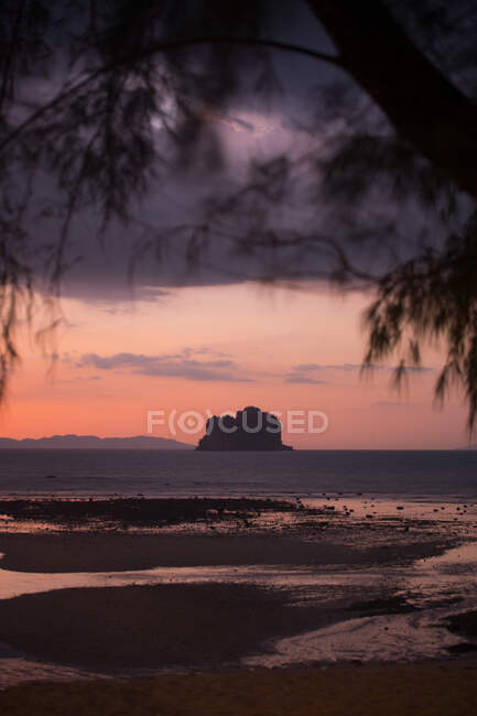 Vue à travers les branches d'arbre sur la côte sablonneuse baignée par la mer sous un ciel orageux et sombre au coucher du soleil en Malaisie — Photo de stock