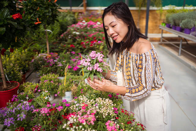 Sincere young ethnic female shopper selecting blooming flowers with pleasant scent in garden shop in daytime — Stock Photo