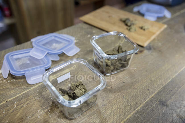 Botões de flor de cânhamo seco em recipientes transparentes na mesa de madeira no quarto no fundo desfocado — Fotografia de Stock