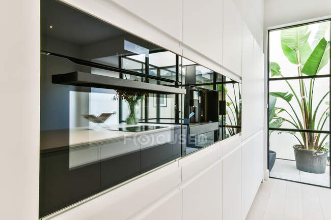 Interior de la cocina contemporánea con horno eléctrico incorporado y microondas contra la planta en maceta detrás de la pared de vidrio en la casa - foto de stock