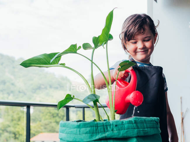 Орієнтована маленька дівчинка в чорному фартусі стоїть і поливає зелену рослину в горщику на балконі проти зеленого пагорба вдень — стокове фото