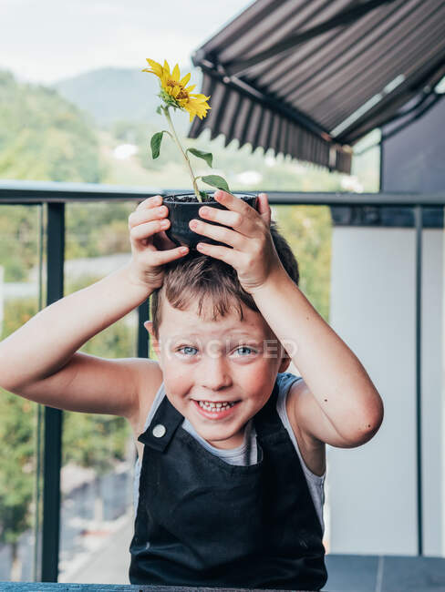Enfant gai dans le tablier de jardinage avec Helianthus florissant en pot sur la tête regardant la caméra sur le balcon — Photo de stock