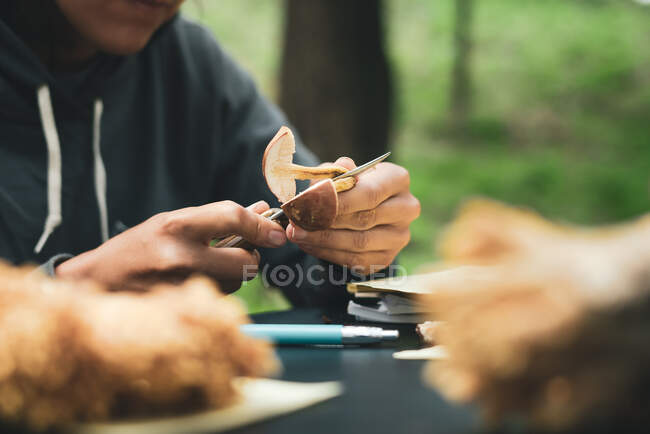 Cultiver une personne méconnaissable assise à table et couper des champignons frais contre l'herbe verte dans la nature — Photo de stock