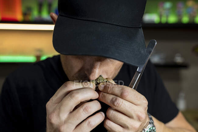 Unrecognizable adult male in cap with tweezers smelling dried hemp floral bud above table with jars in workspace — Stock Photo