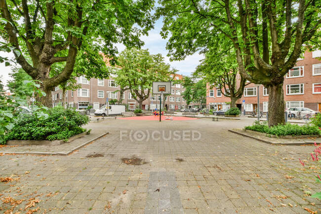 Тротуар з високими зеленими деревами, що ростуть біля баскетбольного кільця в парку в місті вдень — стокове фото