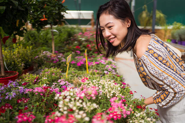 Vista lateral de alegre joven comprador étnico femenino inclinado hacia adelante mientras recoge flores en flor en el centro del jardín - foto de stock