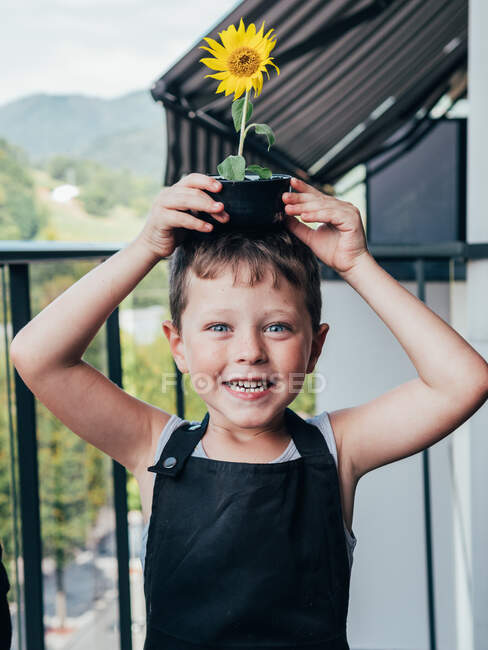 Bambino allegro in grembiule da giardinaggio con Helianthus in fiore in vaso sulla testa guardando la macchina fotografica sul balcone — Foto stock