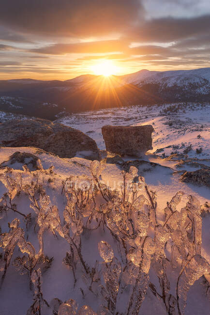 Strahlende Sonnenstrahlen über der schneebedeckten Sierra de Guadarrama und gefrorene Pflanzen bei Sonnenuntergang — Stockfoto