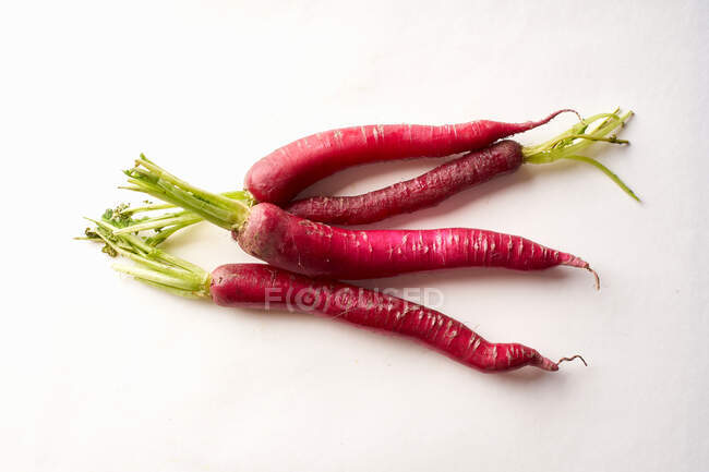 Rábano daikon vermelho sobre fundo branco. Ingrediente asiático saudável para prato vegetariano — Fotografia de Stock