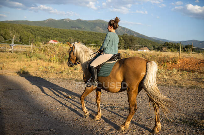 Back view of female riding stallion with smooth brown coat on rough land against mount in countryside — Stock Photo