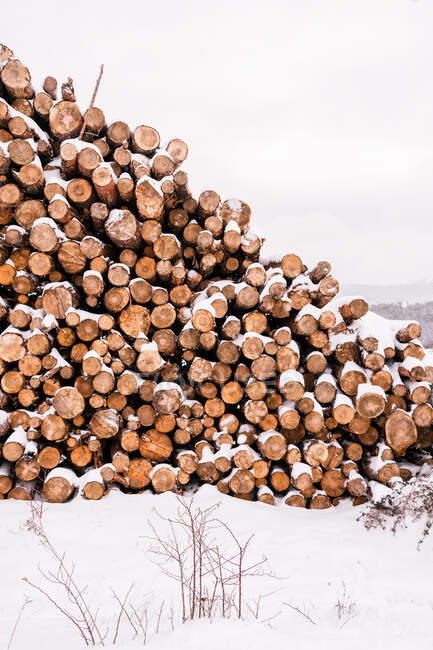 Pile of timber logs under snow in hilly winter valley under cloudy sky — Stock Photo