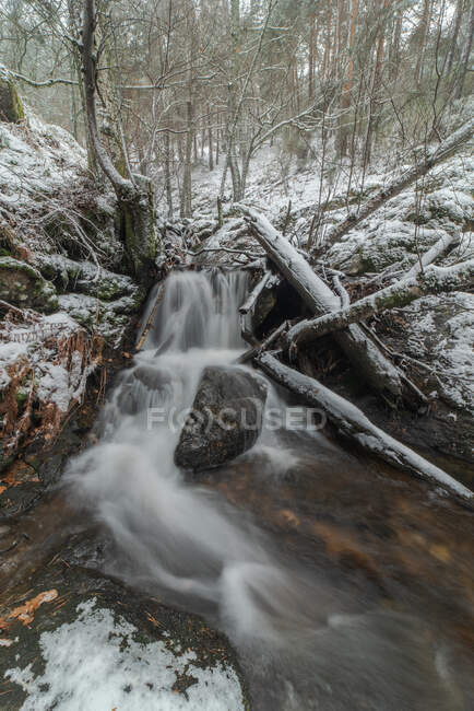 Fast river stream flowing through rough boulders among snowy trees in Sierra de Guadarrama National Park in Madrid — Stock Photo