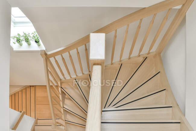 From above of curved stairs with wooden railing and banister against windowsill with potted plants at home in daylight — Stock Photo