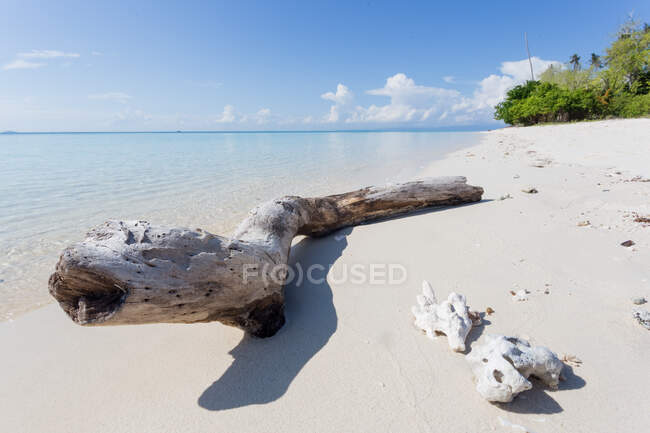 Madera a la deriva en la orilla de arena blanca lavada por el mar transparente claro en el día soleado en Malasia - foto de stock