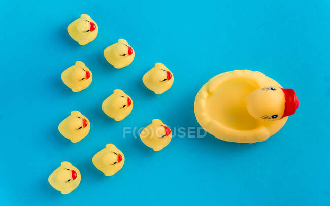 From above set of cute rubber ducklings and duck mom toys placed on bright blue background — Stock Photo