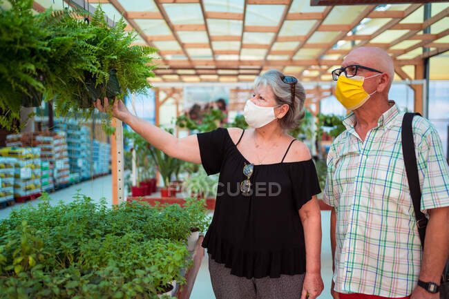 Middle aged shoppers in protective masks choosing potted fern during COVID 19 pandemic in garden shop — Stock Photo
