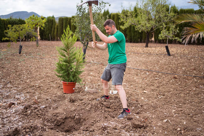 Horticultor adulto masculino con azada preparando tierra para plantar pino contra montañas a la luz del día - foto de stock