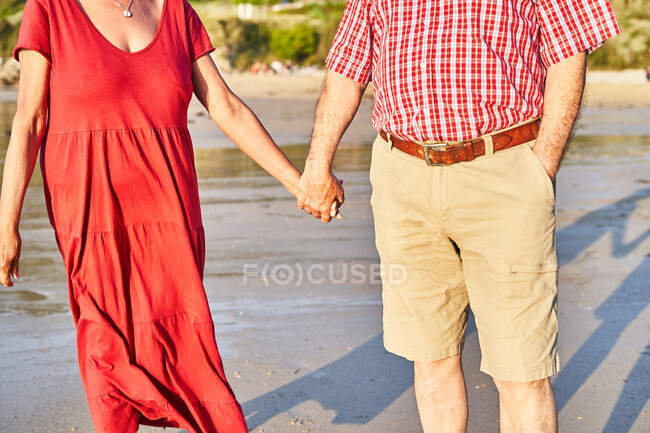 Обрезанная неузнаваемая пожилая пара, стоящая, держа руки на мокром песчаном пляже и наслаждаясь солнечным днем — стоковое фото