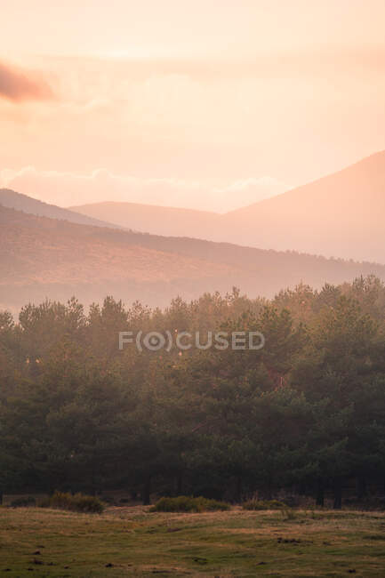 Cenário de tirar o fôlego da floresta de coníferas verdes crescendo contra colinas na Serra de Guadarrama, na Espanha, sob céu nublado à luz do sol — Fotografia de Stock