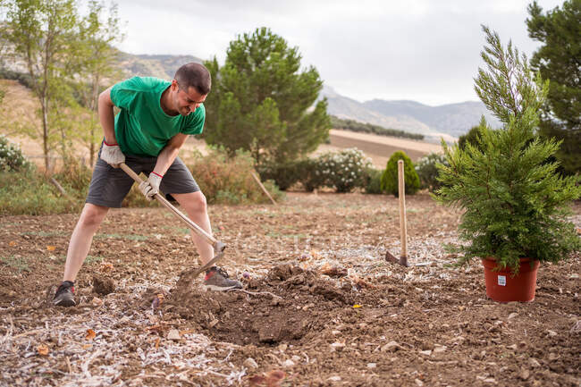 Orticoltore maschio adulto con zappa che prepara il terreno per piantare pino contro le montagne alla luce del giorno — Foto stock