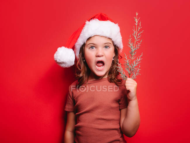 Cute astonished little girl in casual clothes and Santa hat holding fir tree twig and looking at camera against red background — Stock Photo