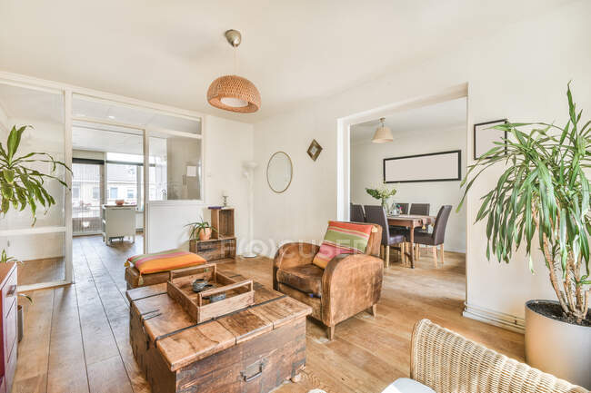 Interno di salotto moderno con poltrone comode e piante verdi in vasi da fiori in casa progettata in stile rustico — Foto stock