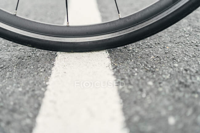 Ruota bici con raggi su strada accidentata con linea di marcatura alla luce del giorno su sfondo sfocato — Foto stock