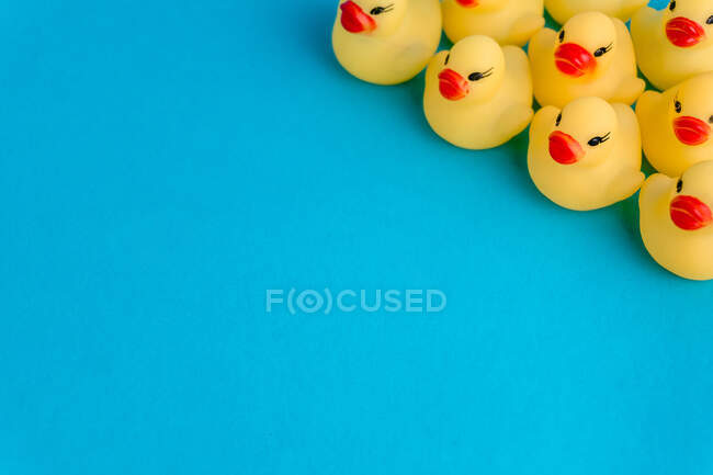 Dall'alto set di simpatici giocattoli in gomma anatroccoli collocati su sfondo blu brillante — Foto stock