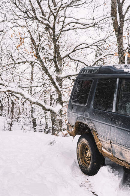 Rostiger alter Geländewagen auf Schnee zwischen blattlosen Bäumen, die im Winterwald wachsen — Stockfoto