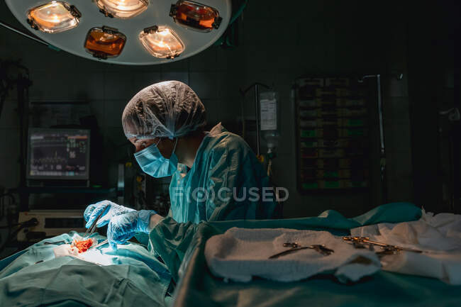 Vétérinaire en gants stériles avec pince à épiler chirurgicale et ciseaux opérant un animal anonyme contre un cardiofréquencemètre à l'hôpital — Photo de stock