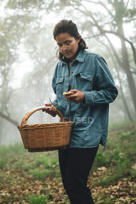 Grave femmina in occhiali che trasporta cesto di vimini e raccoglie funghi commestibili nei boschi con tempo nebbioso — Foto stock