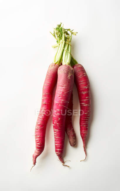 Roter Daikon Rettich auf weißem Hintergrund. Gesunde asiatische Zutat für vegetarisches Gericht — Stockfoto