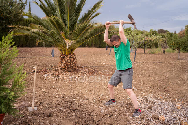 Adult male horticulturist with hoe preparing soil to plant pine tree against mountains in daylight — Stock Photo