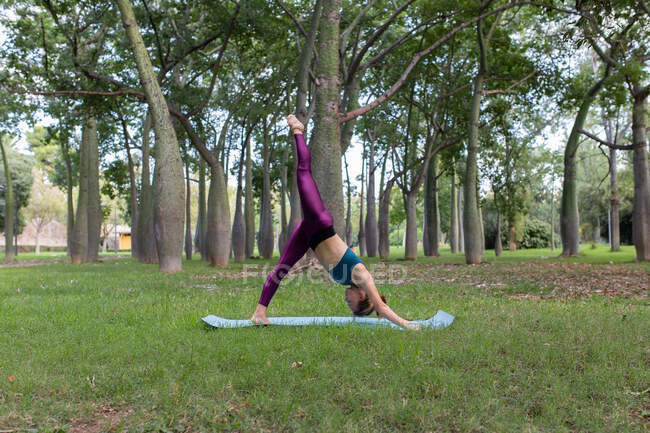 Side view of female in activewear standing in side plank star pose on mat on green grass in nature in daytime — Stock Photo