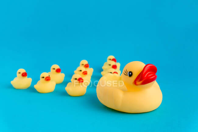Conjunto de bonitos patinhos de borracha e brinquedos de pato mãe colocados no fundo azul brilhante — Fotografia de Stock