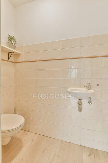 Інтер'єр ванної кімнати з маленькою раковиною і туалетом проти світлих плиткових стін в квартирі — стокове фото