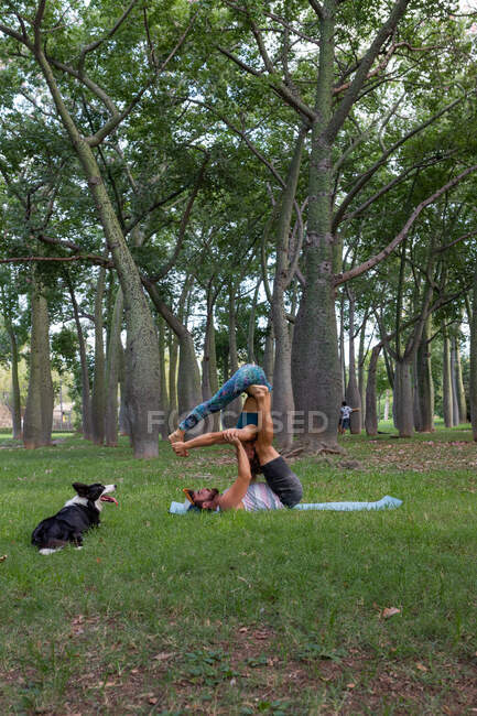 Tutta la lunghezza della coppia concentrata in activewear facendo asana mentre praticano acroyoga insieme nel parco verde alla luce del giorno e con il loro cane sdraiato a guardarli — Foto stock