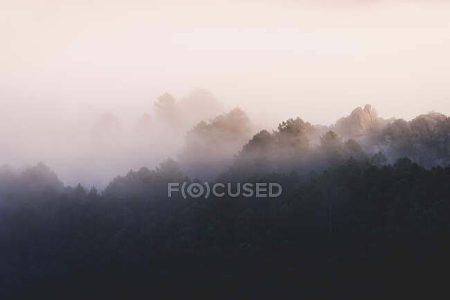 Живописный вид на Педризу с туманом, рассеянным между горным хребтом Гуадарама и валунами с хвойными деревьями на восходе солнца в Испании — стоковое фото